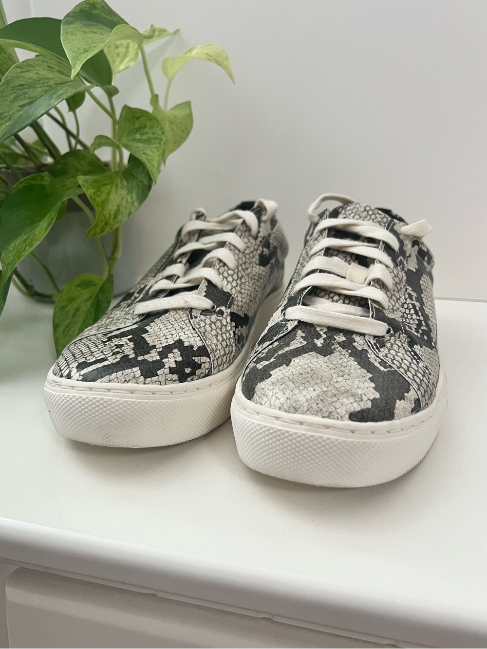 NEW Dr Sholl’s Snakeskin No Bad Vibes Lace Up Sneakers, Size 9 - Picture 11 of 14